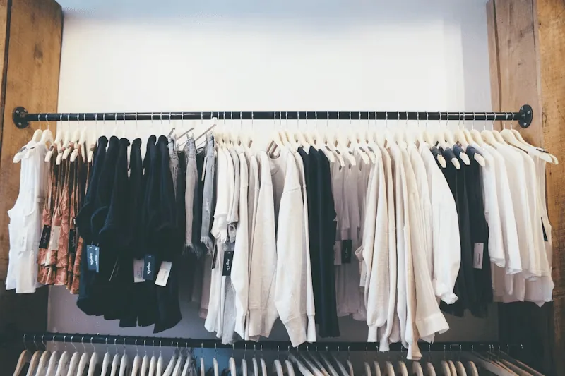 Professional Organizer NYC: Declutter Your Home and Simplify Your Life